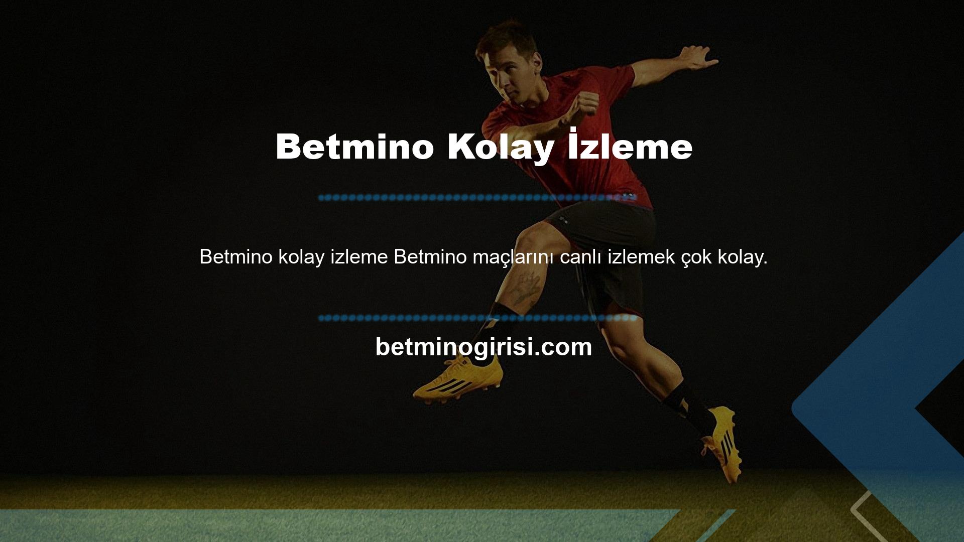 Bölgeye yalnızca şirketin resmi olan web sitesinde interneti kullanarak gidebilirsiniz